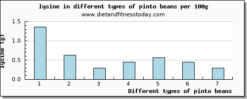 pinto beans lysine per 100g